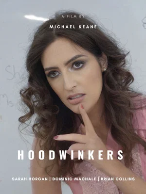 Постер: Hoodwinkers