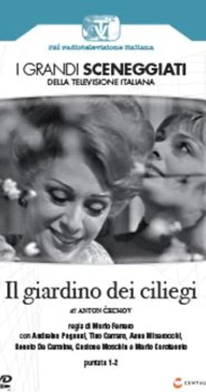 Постер: Il Giardino dei Ciliegi