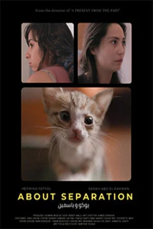 Постер: About Separation