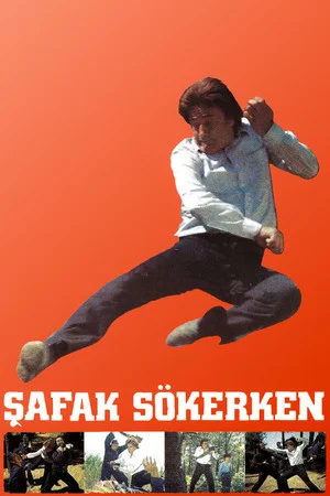Постер: Şafak Sökerken