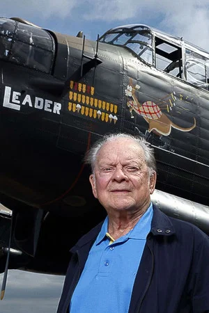 Постер: Flying for Britain with David Jason