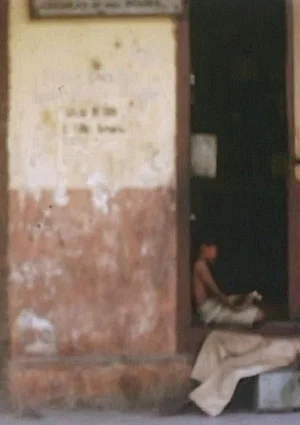 Постер: Trinidad