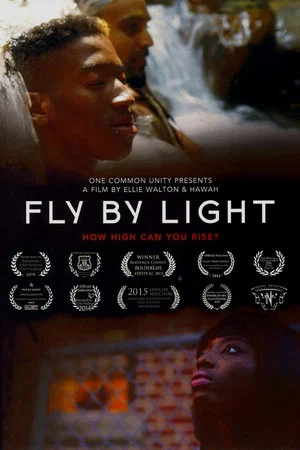 Постер: Fly by Light