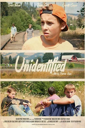 Постер: The Unidentified