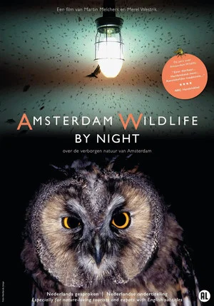 Постер: Amsterdam Wildlife by Night