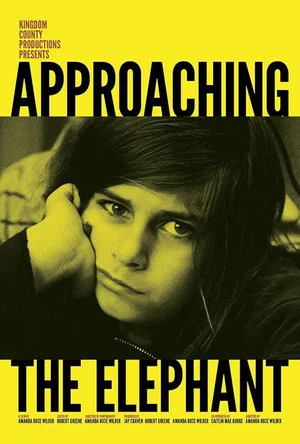 Постер: Approaching the Elephant