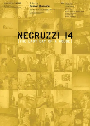 Постер: Negruzzi 14