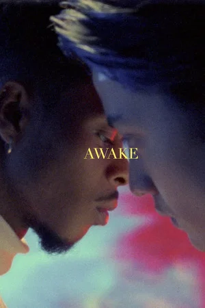 Постер: Awake