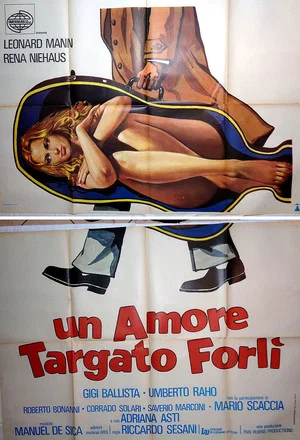Постер: Un amore targato Forlì