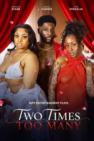 Постер: Two Times Too Many