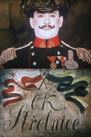 Постер: The Shooting Gallery