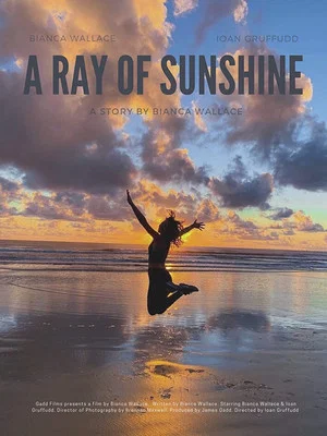 Постер: A Ray of Sunshine