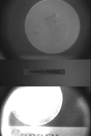 Постер: MATERIA MEDICA