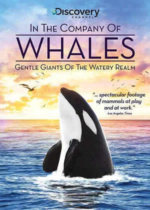 Постер: In the Company of Whales