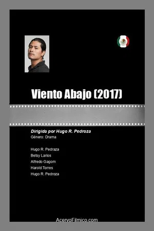 Постер: Viento abajo