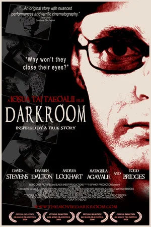 Постер: Darkroom
