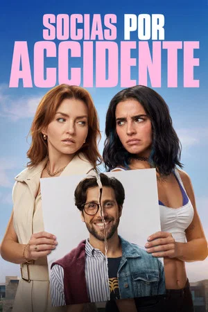 Постер: Accidental Partners