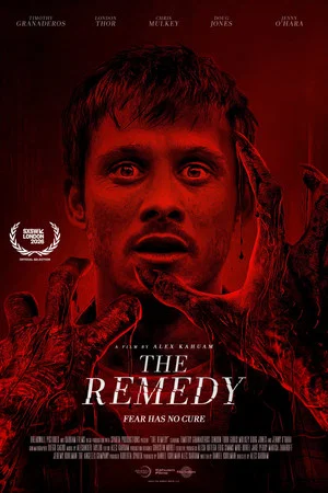 Постер: The Remedy