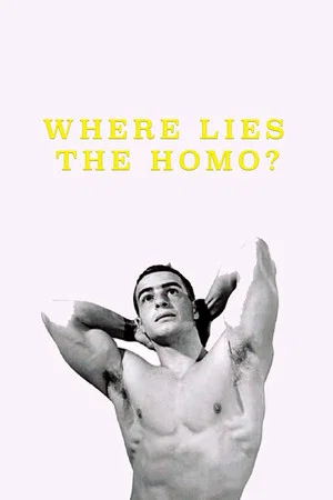 Постер: Where Lies the Homo?