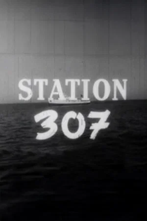 Постер: Station 307
