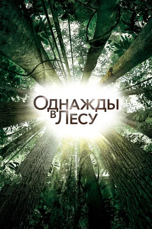 Постер: Однажды в лесу