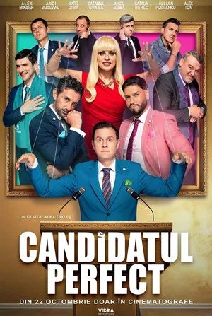 Постер: The Perfect Candidate