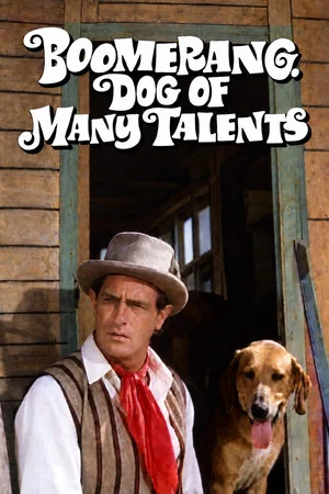 Постер: Boomerang, Dog of Many Talents