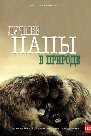 Постер: Лучшие папы в природе