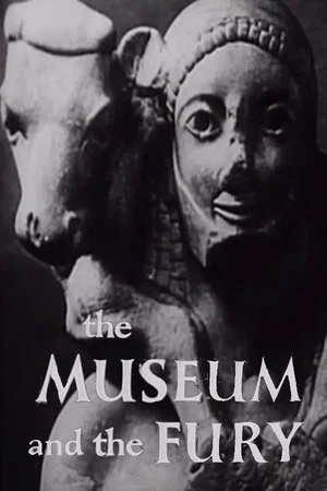 Постер: The Museum and the Fury