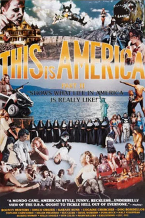 Постер: This Is America Part 2
