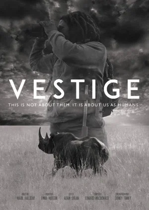 Постер: Vestige