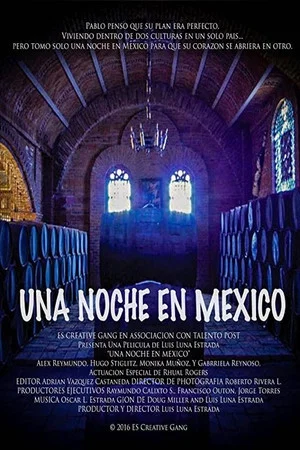 Постер: One Night In Mexico