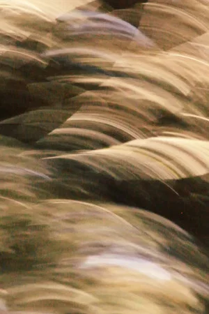 Постер: brushstrokes
