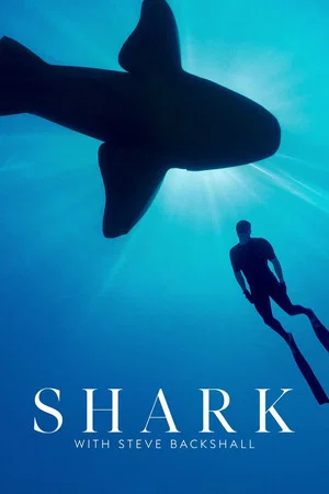 Постер: Shark with Steve Backshall