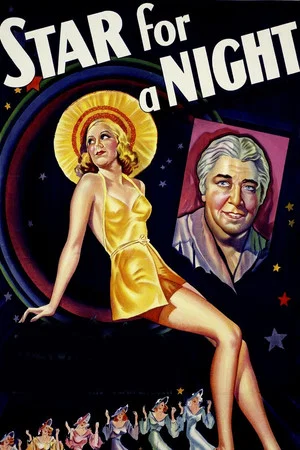 Постер: Star for a Night