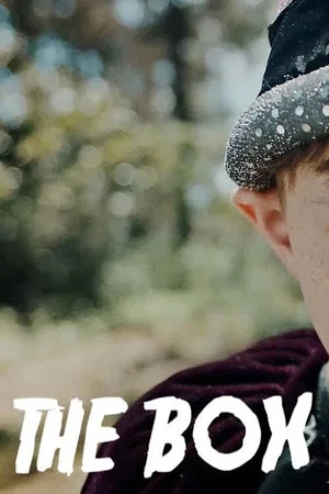 Постер: The Box