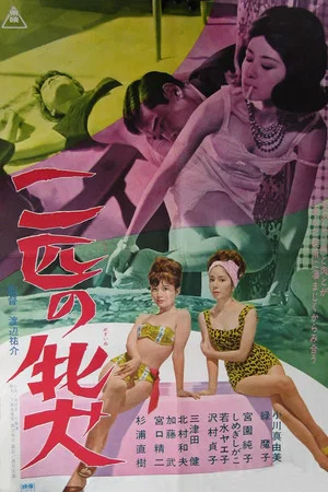Постер: Night Scandal in Japan