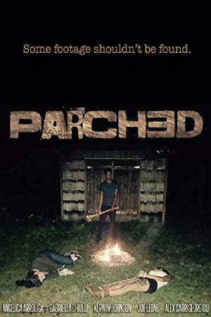 Постер: Parched