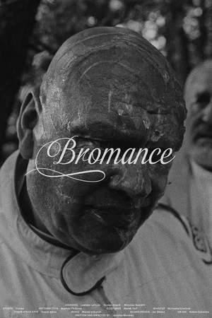 Постер: Bromance