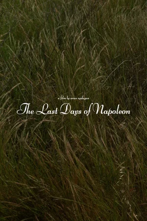 Постер: The Last Days of Napoléon