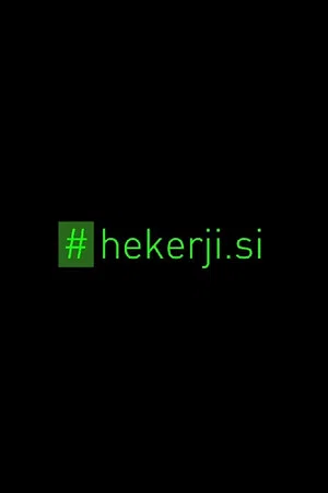 Постер: The Hackers