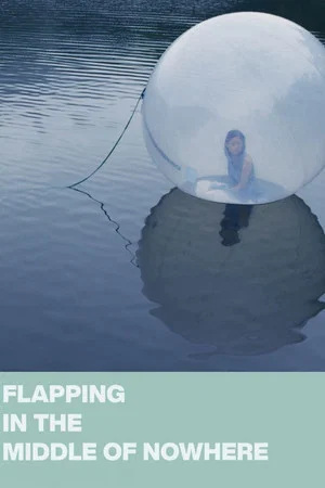 Постер: Flapping in the Middle of Nowhere
