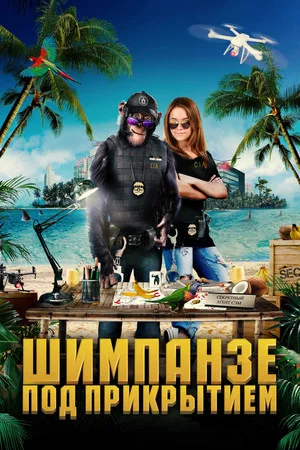 Постер: Шимпанзе под прикрытием