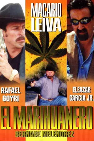 Постер: El marihuanero