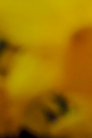 Постер: In Passing