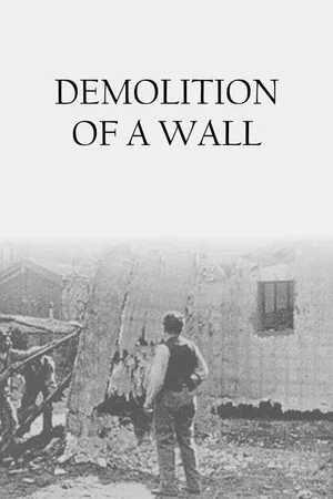 Постер: Demolition of a Wall