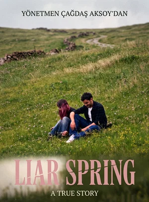 Постер: Liar Spring
