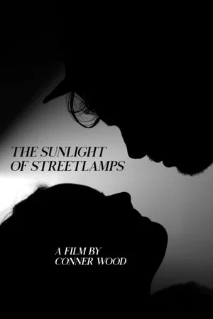 Постер: The Sunlight of Streetlamps