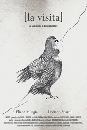 Постер: The prospect