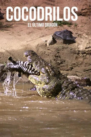 Постер: Crocodiles, the last dragon